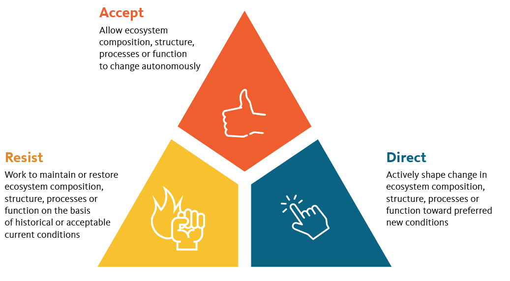 Resist-accept-direct (RAD) framework for forest management